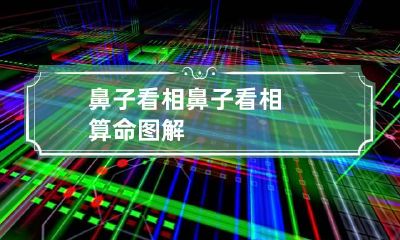 鼻子看相 鼻子看相算命图解