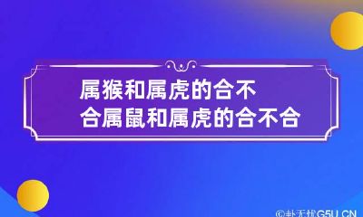 属猴和属虎的合不合 属鼠和属虎的合不合