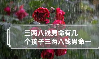 三两八钱男命有几个孩子 三两八钱男命一生总结