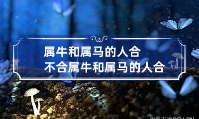 属牛和属马的人合不合 属牛和属马的人合不合做生意