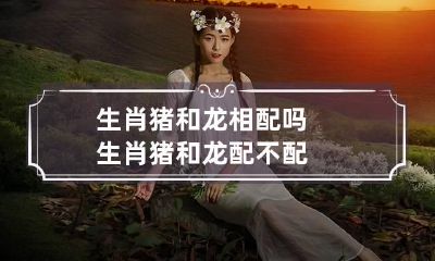生肖猪和龙相配吗 生肖猪和龙配不配