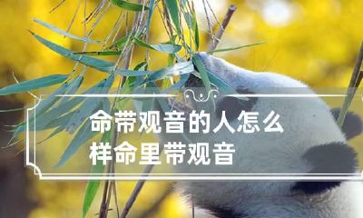 命带观音的人怎么样 命里带观音