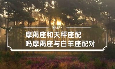 摩羯座和天秤座配吗 摩羯座与白羊座配对指数