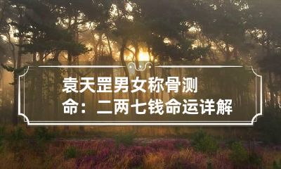 袁天罡男女称骨测命：二两七钱命运详解