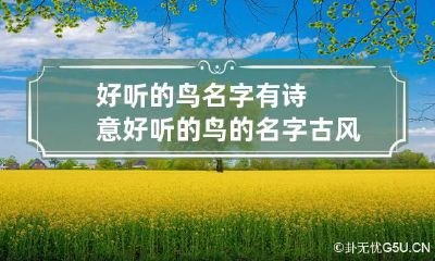 好听的鸟名字有诗意 好听的鸟的名字古风