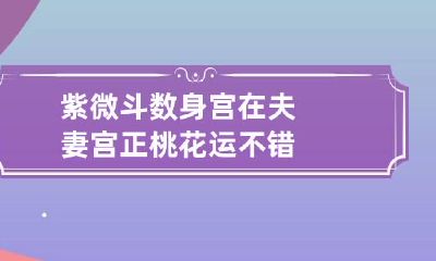 紫微斗数身宫在夫妻宫 正桃花运不错