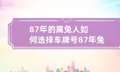 87年的属兔人如何选择车牌号 87年兔车牌用什么号好