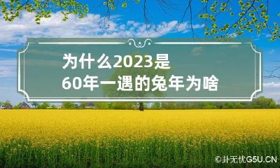 为什么2023是60年一遇的兔年 为啥是2026年