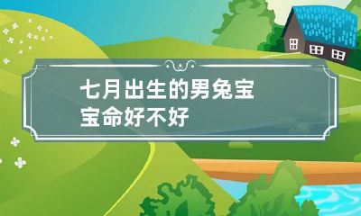 七月出生的男兔宝宝命好不好