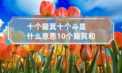十个簸箕十个斗是什么意思 10个簸箕和10个斗的说法可靠吗