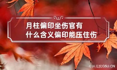 月柱偏印坐伤官有什么含义 偏印能压住伤官吗