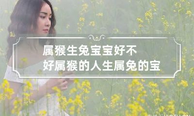 属猴生兔宝宝好不好 属猴的人生属兔的宝宝好吗