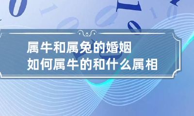 属牛和属兔的婚姻如何 属牛的和什么属相最配婚姻最合适