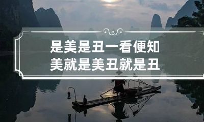 是美是丑一看便知 美就是美丑就是丑