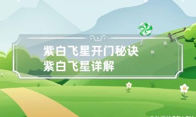 紫白飞星开门秘诀 紫白飞星详解
