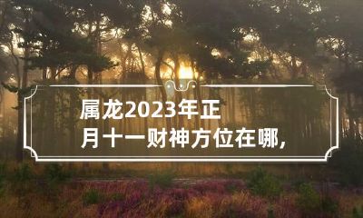 属龙2023年正月十一财神方位在哪,大年十一打牌方位怎么坐