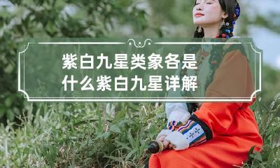 紫白九星类象各是什么 紫白九星详解