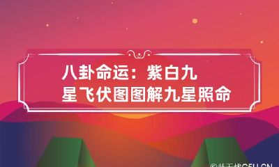 八卦命运：紫白九星飞伏图图解 九星照命图太阴星图
