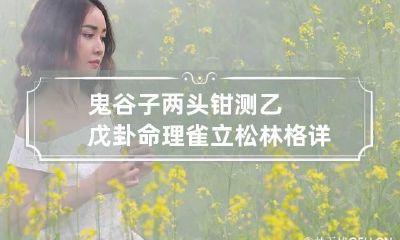 鬼谷子两头钳测乙戊卦命理 雀立松林格详解
