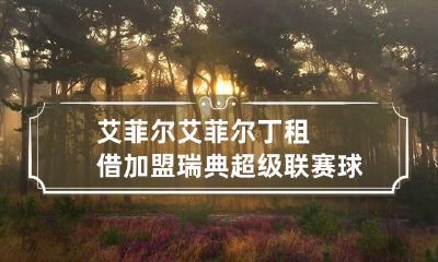 艾菲尔 艾菲尔丁租借加盟瑞典超级联赛球队