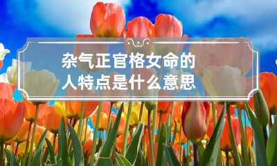 杂气正官格女命的人特点 是什么意思