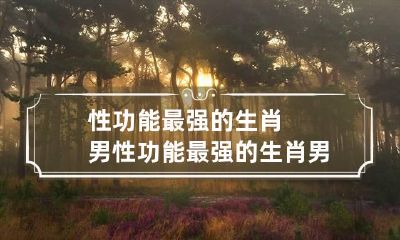 性功能最强的生肖男 性功能最强的生肖男生