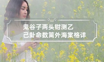 鬼谷子两头钳测乙己卦命数 篱外海棠格详解