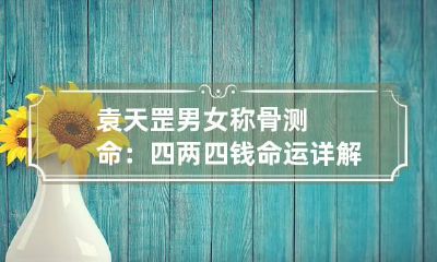袁天罡男女称骨测命：四两四钱命运详解