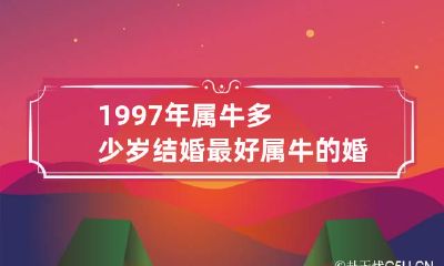 1997年属牛多少岁结婚最好属牛的婚配禁忌