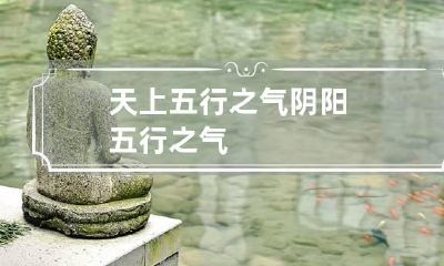 天上五行之气 阴阳五行之气
