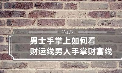 男士手掌上如何看财运线 男人手掌财富线在哪