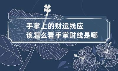 手掌上的财运线应该怎么看 手掌财线是哪一条线