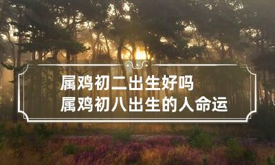 属鸡初二出生好吗 属鸡初八出生的人命运