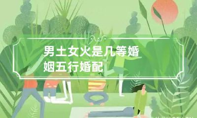 男土女火是几等婚姻 五行婚配