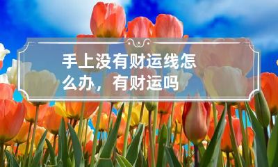 手上没有财运线怎么办，有财运吗