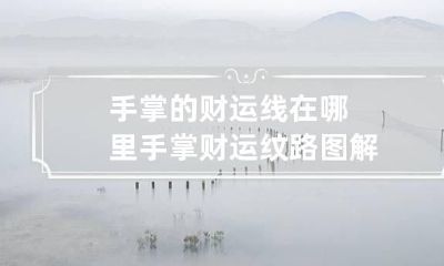 手掌的财运线在哪里 手掌财运纹路图解