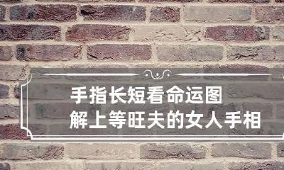 手指长短看命运图解 上等旺夫的女人手相