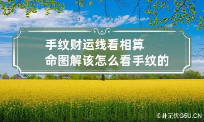 手纹财运线看相算命图解该怎么看 手纹的财运纹在哪个位置