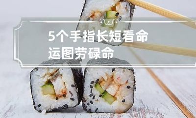 5个手指长短看命运图劳碌命