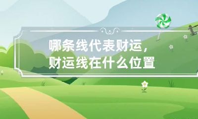 哪条线代表财运，财运线在什么位置