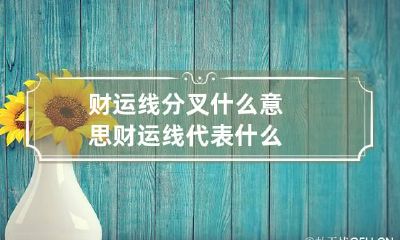 财运线分叉什么意思 财运线代表什么