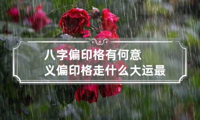 八字偏印格有何意义 偏印格走什么大运最好
