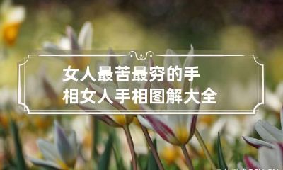女人最苦最穷的手相 女人手相图解大全