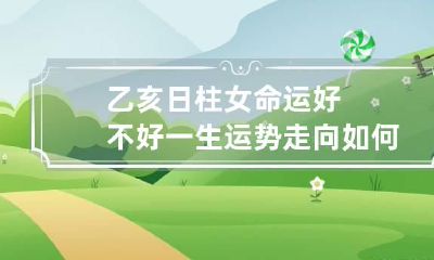 乙亥日柱女命运好不好 一生运势走向如何