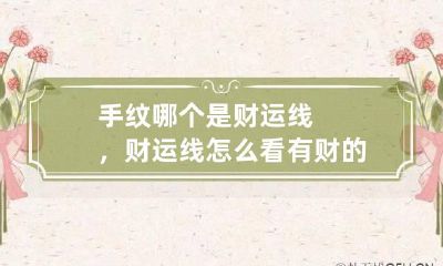 手纹哪个是财运线，财运线怎么看 有财的手纹线