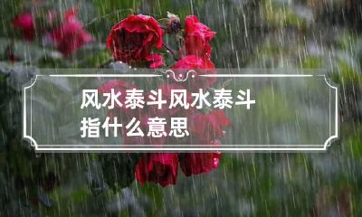 风水泰斗 风水泰斗指什么意思