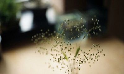快速教会准爸妈怎样给宝宝起名！