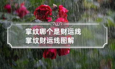 掌纹哪个是财运线 掌纹财运线图解