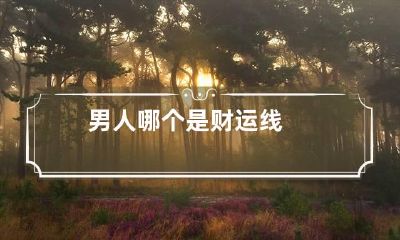 男人哪个是财运线