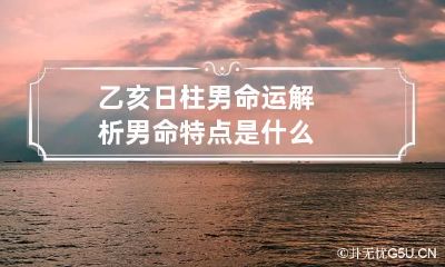乙亥日柱男命运解析 男命特点是什么